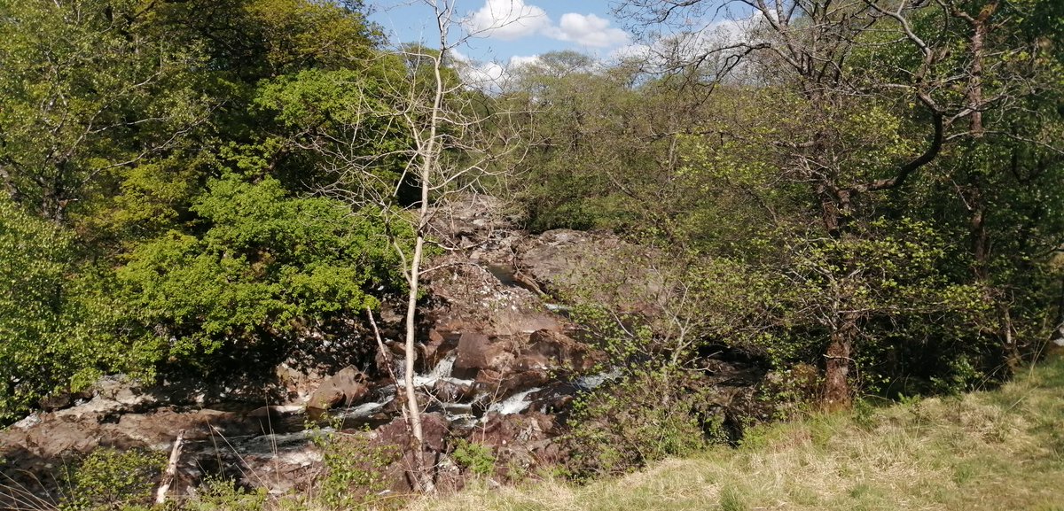 smoggiewalks's tweet photo. Glen Falloch to wildcamp 2 Highlands π£π£πΎπΎπΊπΊ#WHWay #getoutside @CreduCarers @westhighlandway @WstHighlandWay @OrdnanceSurvey @VisitScotland https://t.co/RSiO7uQ2aI