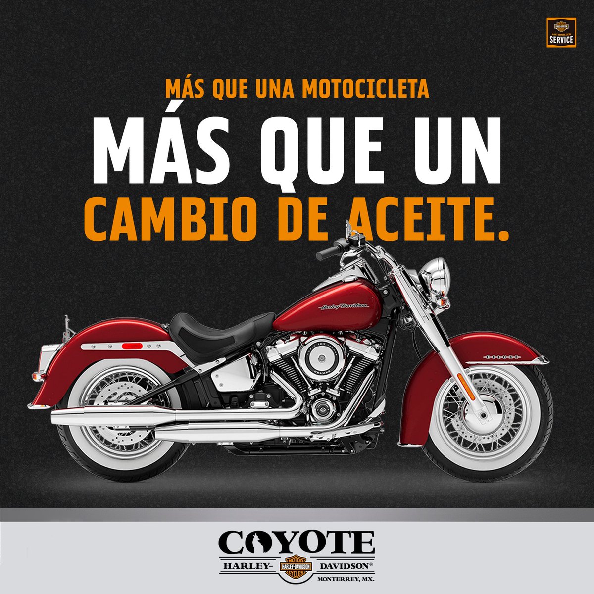 CoyoteHD's tweet photo. ⚠️Con más de 20 puntos de inspección; Con métodos, equipos aprobados y técnicos especialmente capacitados que usan tecnología avanzada para diagnosticar y mantener tu moto en óptimas condiciones. Agenda una cita al taller aquí: 
👉https://t.co/bqI6ZP8Ejj https://t.co/wsfXYem82Y