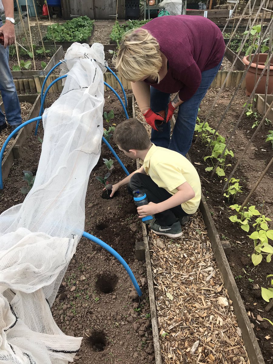 nantcelynschool's tweet photo. We have been busy helping @Allotments2 at their Coed Eva site today planting cabbages and looking at the different eggs birds lay thank you for an awesome trip! https://t.co/cFH2T1yqgI