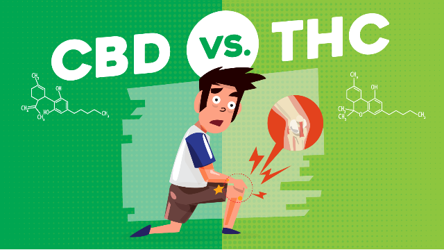 North_Maven's tweet photo. /The #Blackmarket offering great customer service to keep them in business
/There are more than 100 #cannabinoids in cannabis?  
/Know the difference between #THC and #CBD

https://t.co/YHgm8sC7Wf

#cannabiscommunity #munchies #Marijuananews #baking  #chefs #marijuanachefs #Cook https://t.co/EAMI2rl0Jm