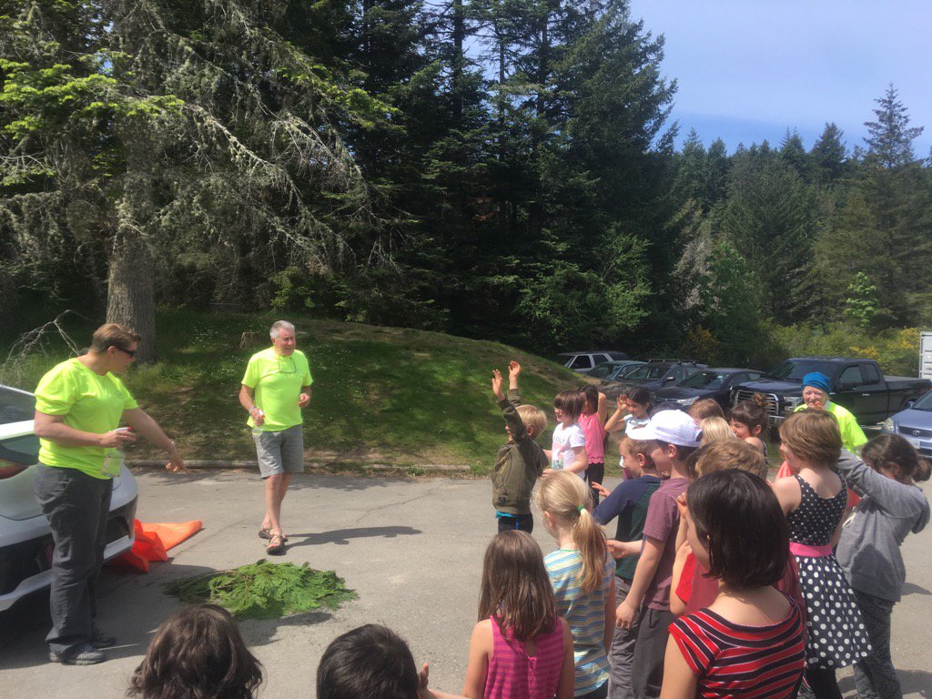 Salt Spring SAR tweet media