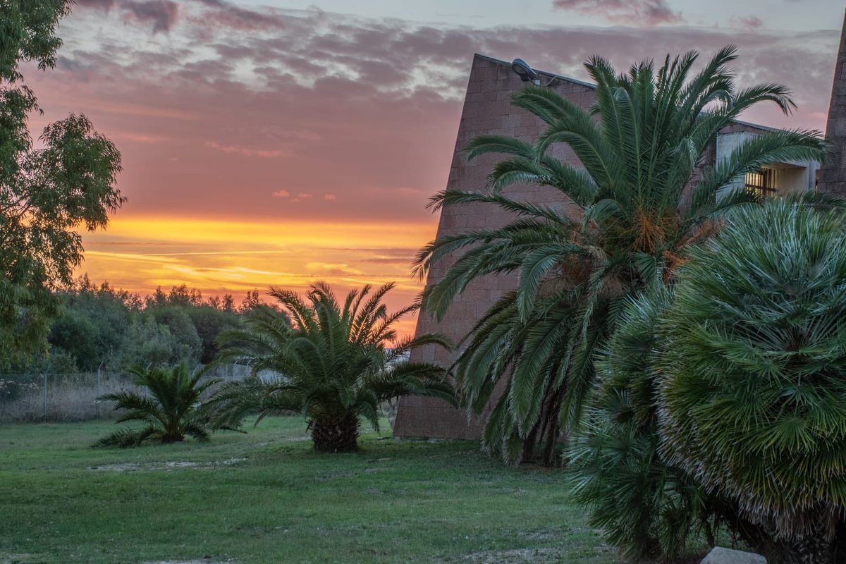 CoopCultureIT's tweet photo. #MuseumWeek #RainbowMW @MuseodiCabras  dove museo e natura si incontrano nel territorio ricco di storia e colori della Penisola del Sinis #Cabras #gigantidimonteprama https://t.co/qeVHXltHmg