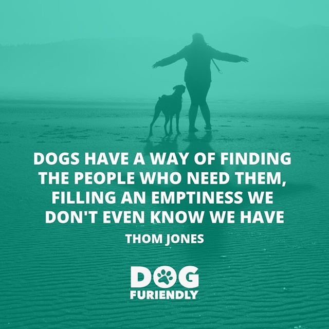 DogFuriendly's tweet image. We can't ever remember a life without our pooch.
❤️
.⁣
.⁣
.⁣
.⁣ #dog #dogs #doglover #doglife #dogsarefamily #dogdays #ukdogs #dogoutside #dogsinside #doglovers #furiends #aplacetolovedogs #bestwoof #dogsarethebest #dogworld #dogsworld #pupfluencer #… bit.ly/2VDJKKR