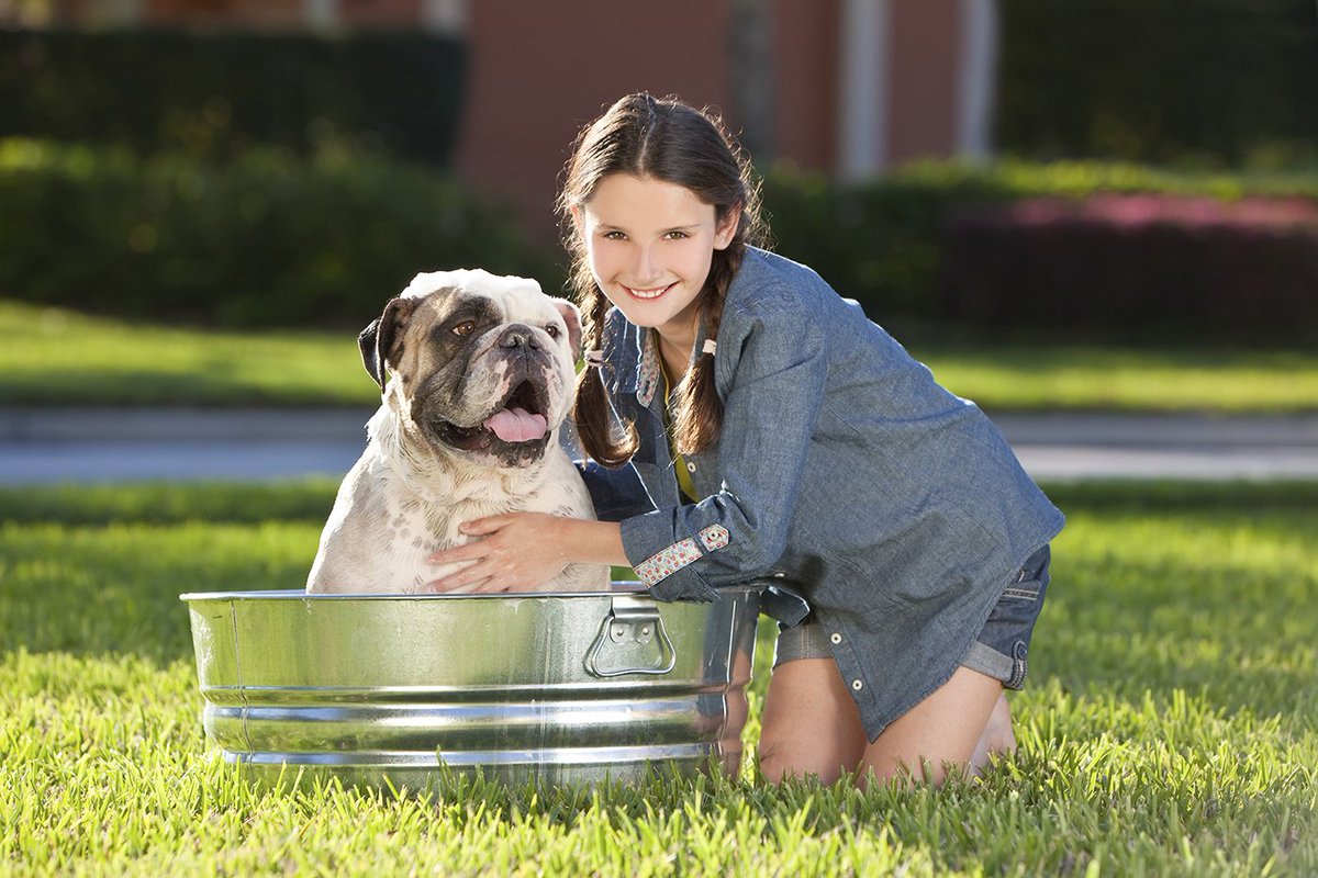 FurreverDevoted's tweet photo. We are here to help you FURREVER be ready for bath day! 

#furreverdevoted #dogshampoo #bathday #stockupforspring https://t.co/DiQXg0QXZ6