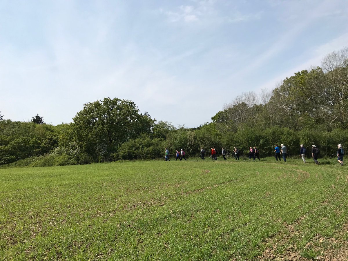 SiriusStar1963's tweet image. Thursday’s walk with Robby’s Ramble. #IOWwalkingfestival #Shalfleet #Bouldnor #PureIslandHappiness
