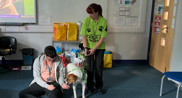 wolvcoll's tweet photo. A BIG thanks to @BhamDogsHome for coming to our Wellington Road Campus today and talking to our futures pathways students. They really enjoyed meeting Bernie 🐶 and learned loads about Birmingham Dogs Home! #LoveOurColleges #dog #birmingham #wolverhampton https://t.co/45YbjhLgU6