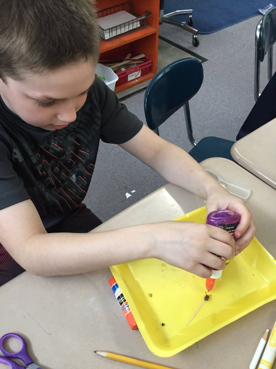 kgazard1's tweet image. Pollination exploration with real bees! @ClockerTalk @MindessAP