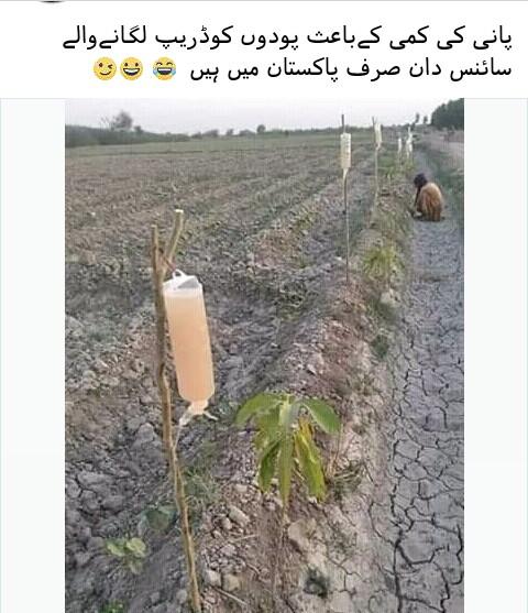 Shanipindi's tweet photo. Unique  Pakistani scientist.👐 https://t.co/N4z7BWmPab