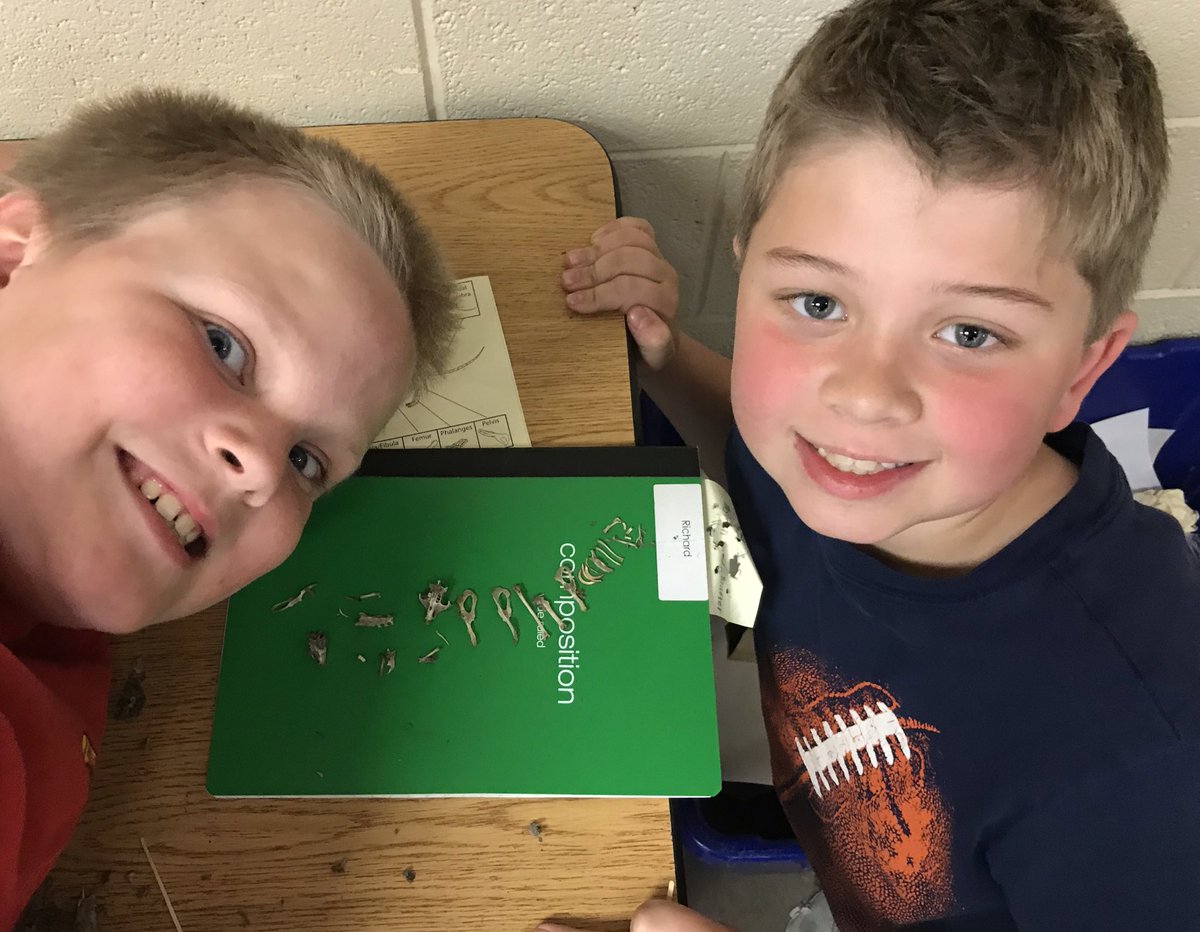 MrWebers_Class's tweet photo. Skulls, femurs, ribs oh my!  Owl pellet exploration is resulting in a lot of “Hey, look what I found!”  So fun. @RH_Elementary @SDMAOnline #gotRHpride https://t.co/vRPPx9PWLF