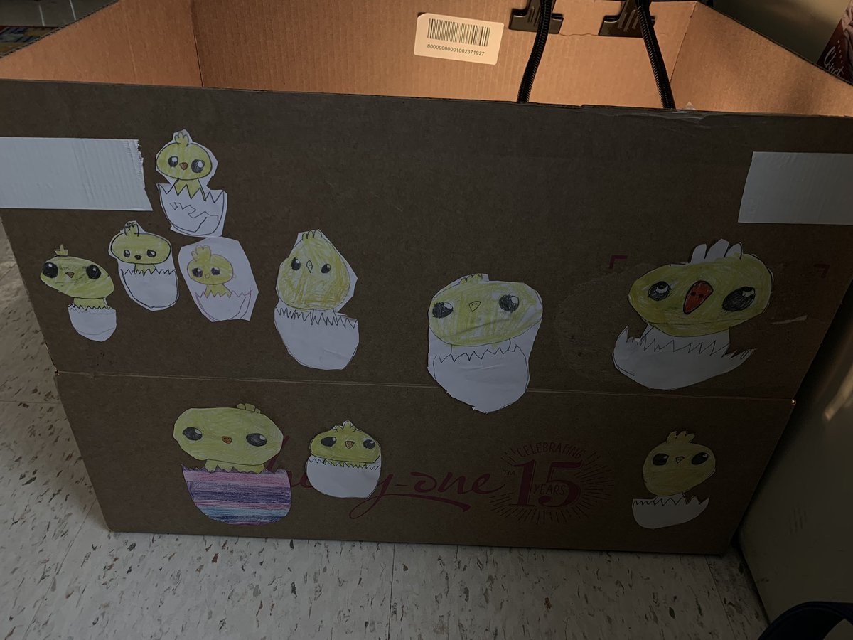 MsAbuRishBTES's tweet photo. Sunny and Vinny like their new home @BeechTreeElem @fairfax4h #chicks #chickmom https://t.co/f5p3l6KtPM