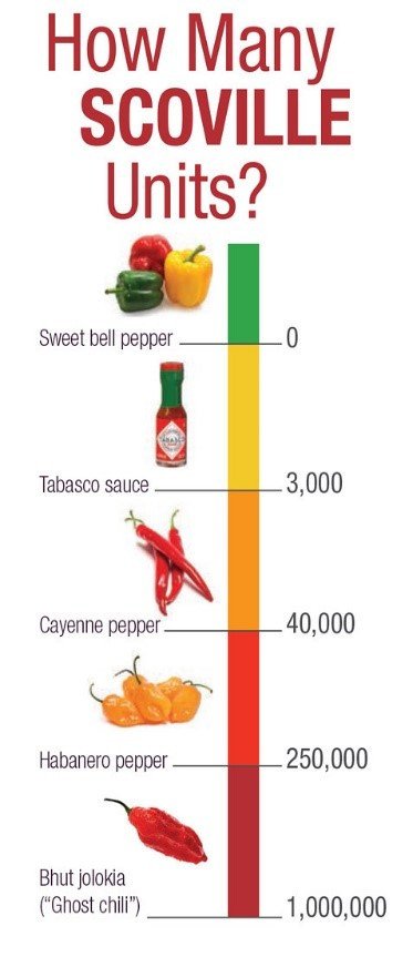CappyChef's tweet image. How hot are your hot peppers? chefcappyskitchen.blog/2019/05/16/how…