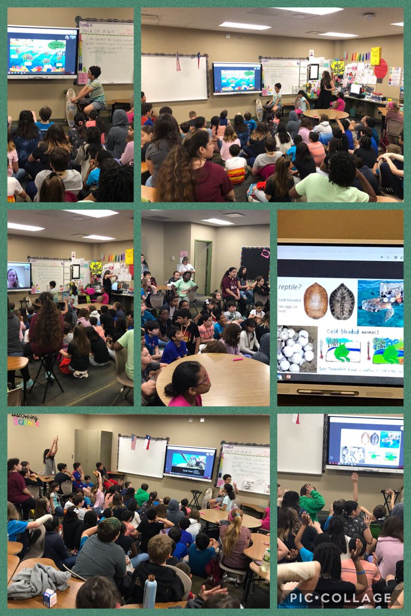 MrsHugginsClass's tweet photo. Today our #cecheetahs Skyped with @skpoulin about turtles 🐢 and how they migrate! The students were so  engaged and they asked some awesome questions! Thank you! https://t.co/RtlLpTR7z7