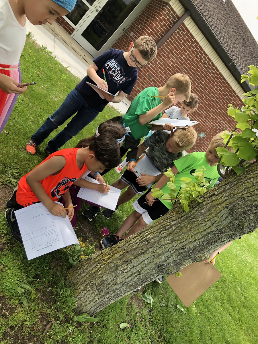 Mrs_Temrowski's tweet photo. Today we planted our very own seeds and explored plant structure all around PR with @MsLisecki_PR #PRlearn https://t.co/iXyk78f3OW