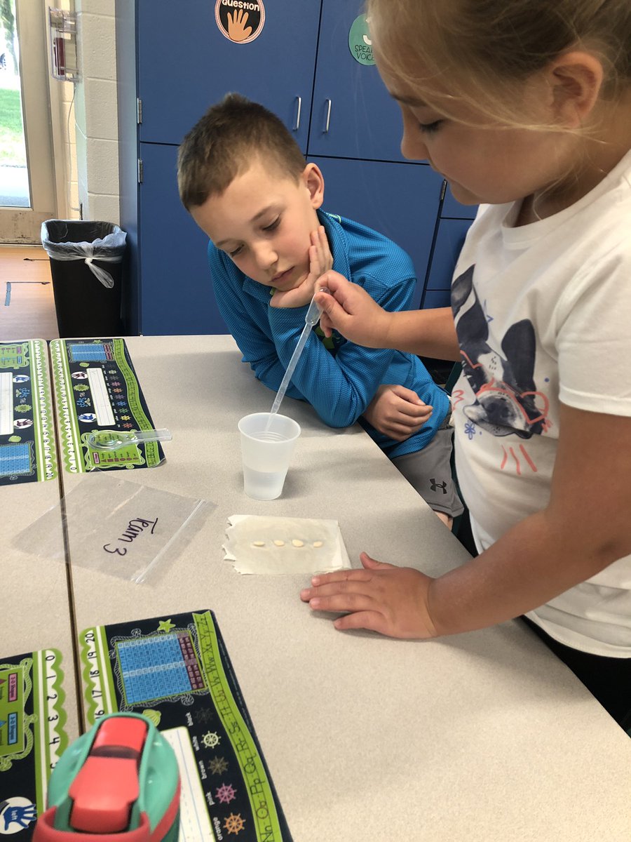 Mrs_Temrowski's tweet photo. Today we planted our very own seeds and explored plant structure all around PR with @MsLisecki_PR #PRlearn https://t.co/iXyk78f3OW