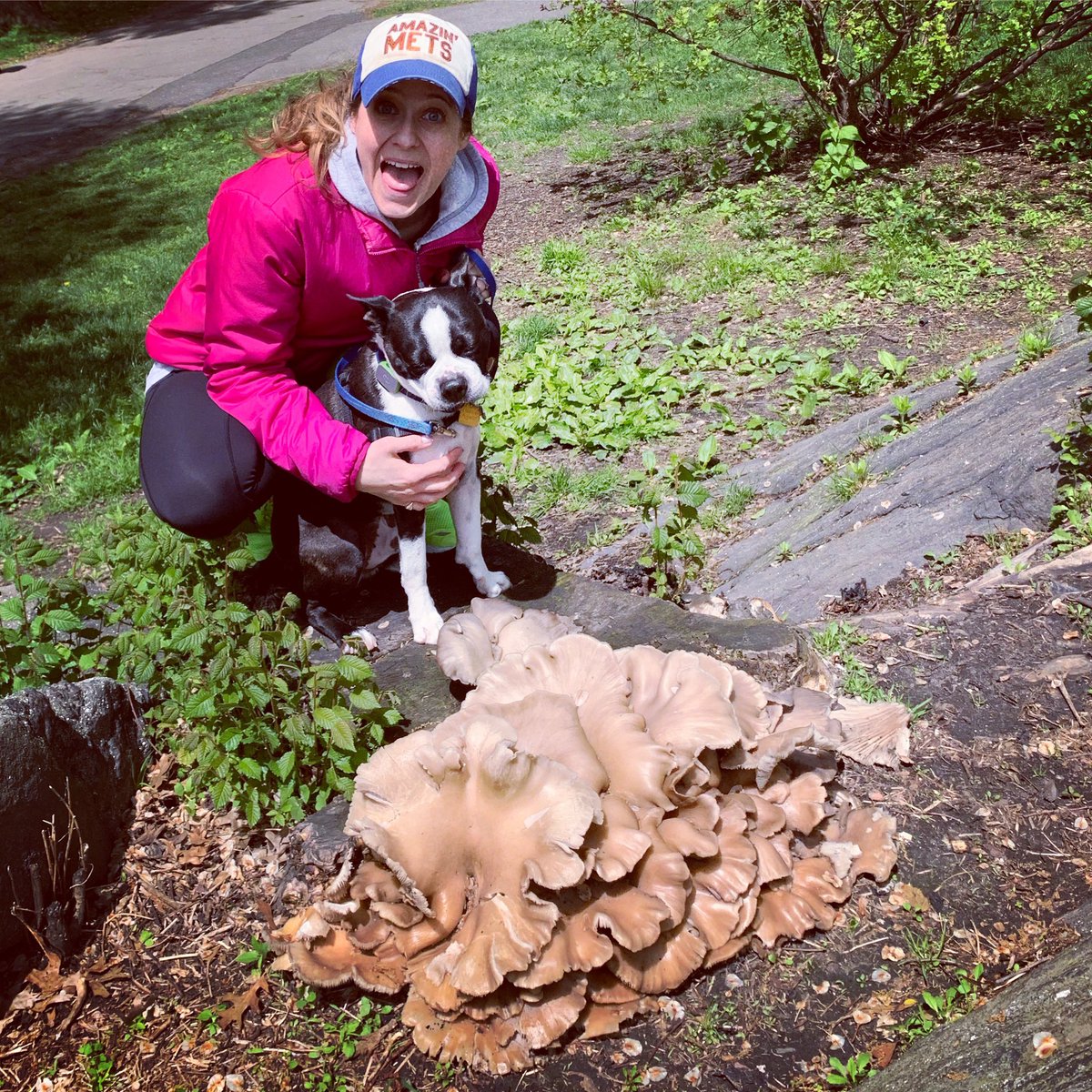 LOOK AT THIS MUSHROOM!!! Nature is amazing!