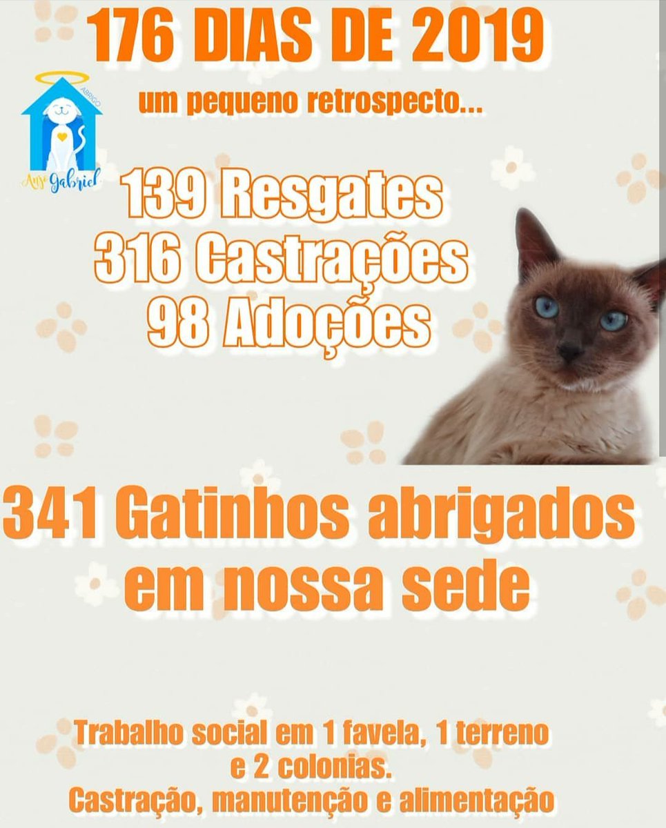abrigo_anjo's tweet photo. Um pequeno retrospecto de 2019

É difícil... Mas, com a sua ajuda, um trabalho maravilhoso está sendo feito e vamos continuar. 
Siga conosco 💕 https://t.co/7O8GtNPGcJ