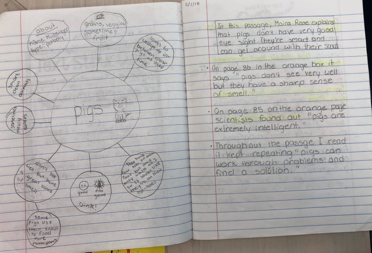 Jessica Mactas Mazzone tweet media