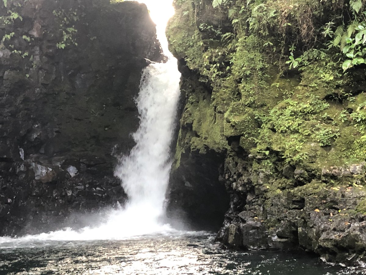 Dan Rascon on Twitter: