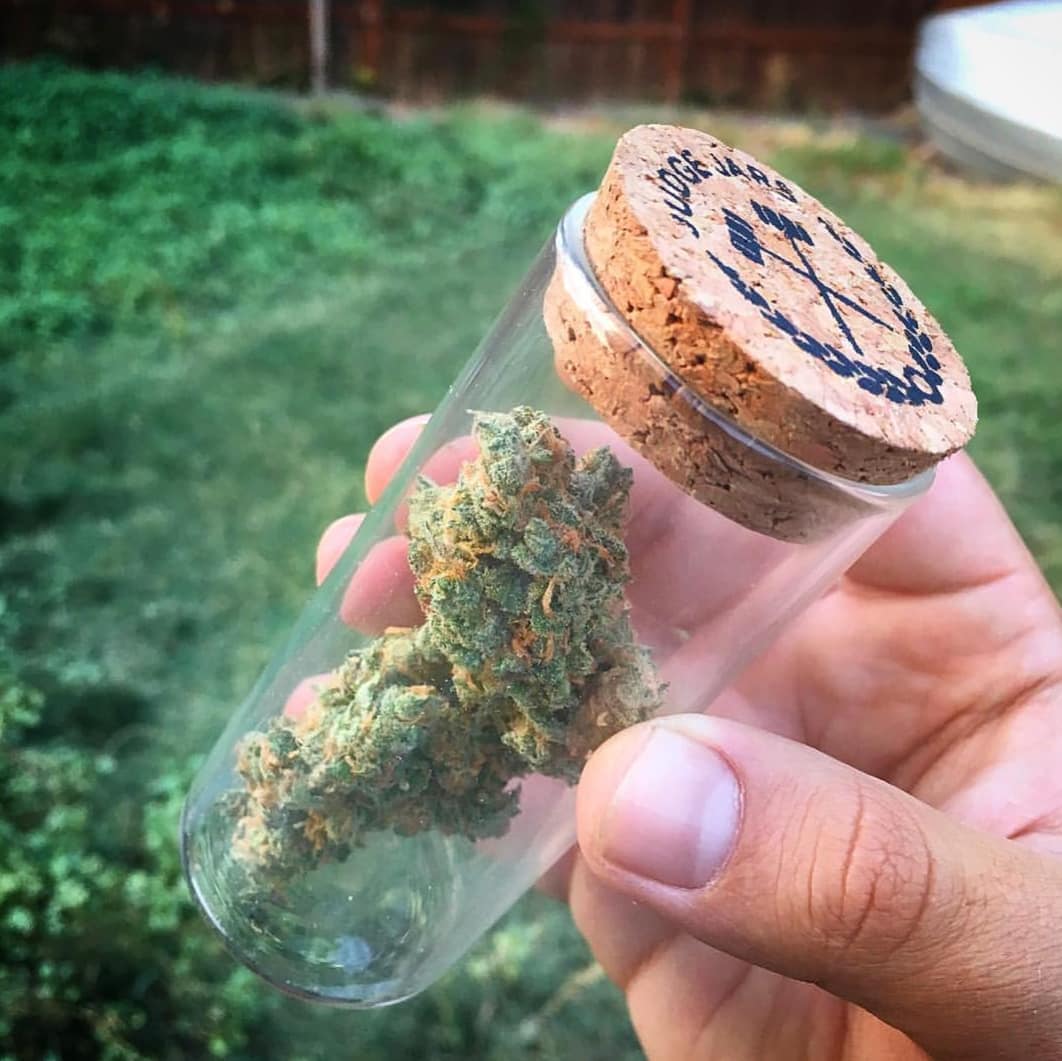 WeedLex tweet media