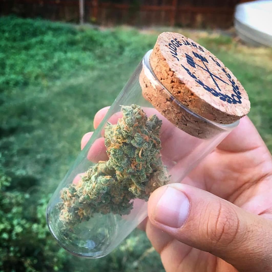 🍁🔥 Photo by:@hustle_cannabis #cannabis #ganja #smokeit #high #gethigh #stoned #getstoned #smokeweed #stonedaf #blunts #bongs #joints #weedporn #weedpics #legalizeit #legalizemarijuana #420life #hightimes