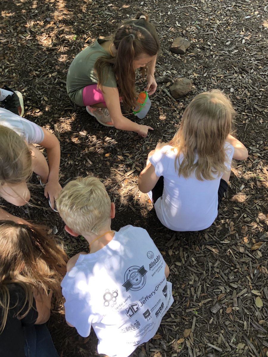 Mrs_Gillispie's tweet photo. Learning all about how worms and insects help the soil and plants. Now time to be wormologists! 🐛 🔍 https://t.co/eh2rInpquT