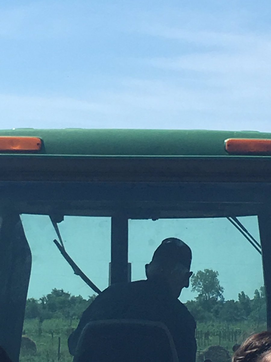 Frances Hatzopoulos tweet media