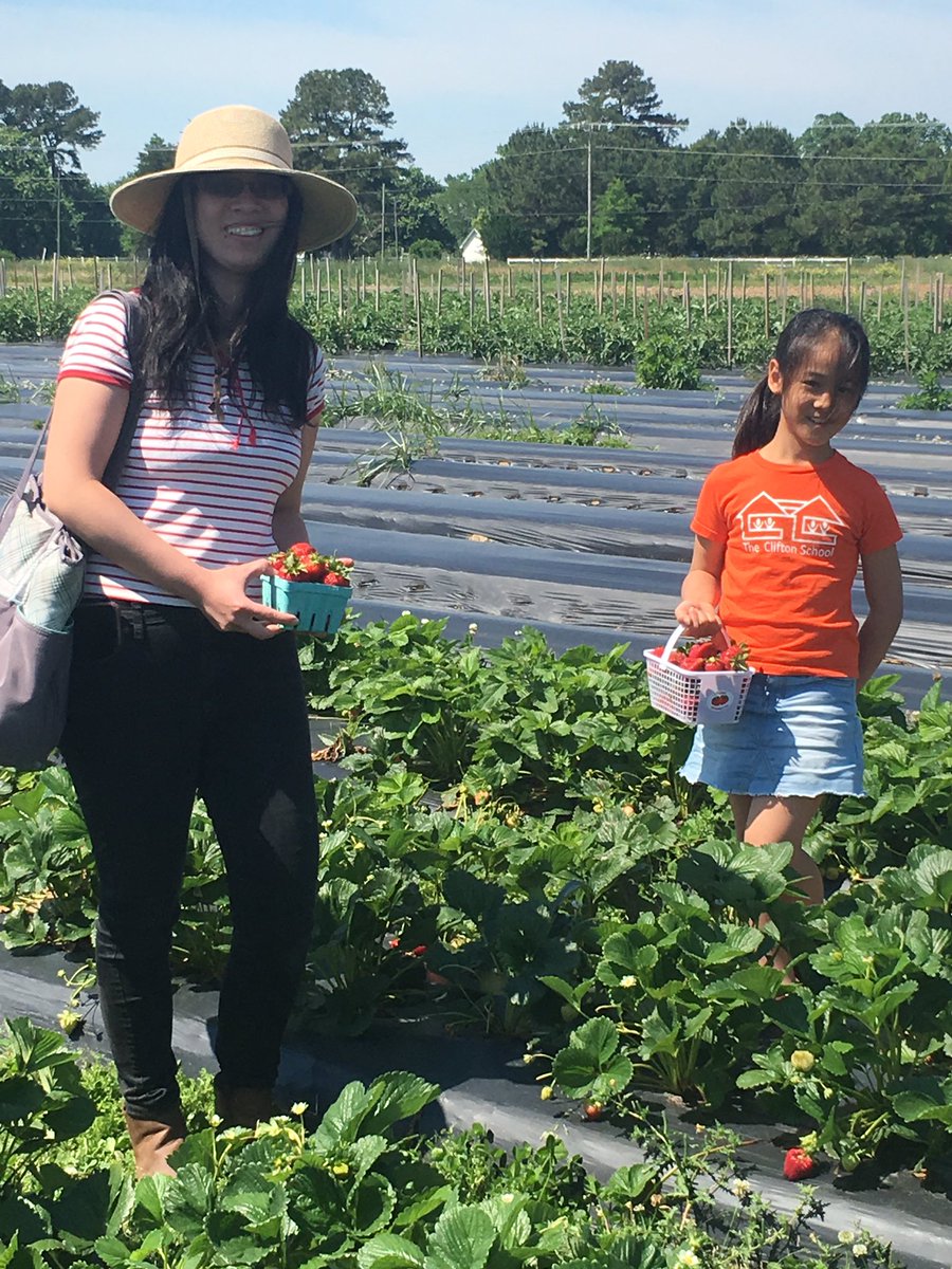 Frances Hatzopoulos tweet media