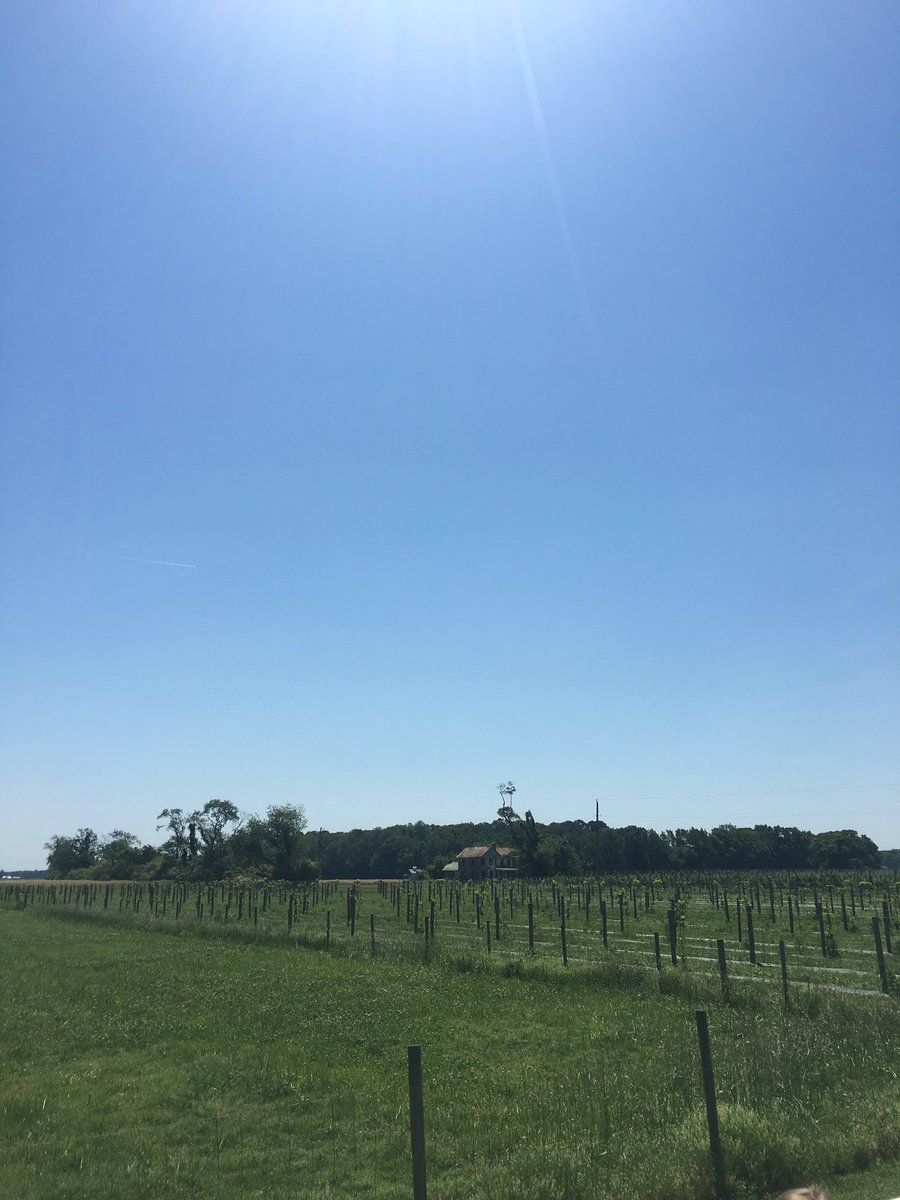 Frances Hatzopoulos tweet media