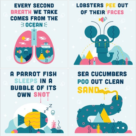 On June the 7th, there is #worldoceanday for Schools!

Teachers, parents and schools with an interest in the ocean and all things water can download a treasure chest of free ocean learning resources by registering here:

worldoceanday.school

#oceanliteracy #schools #education