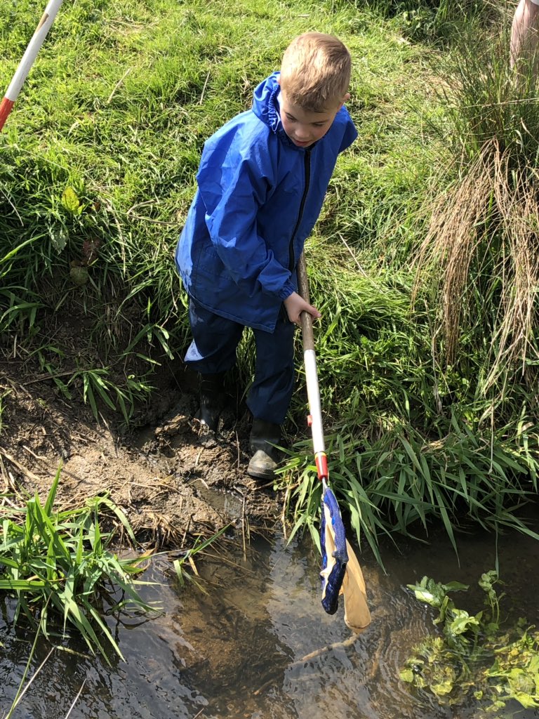 MissRobertsLMS's tweet photo. More from pond dipping! https://t.co/6JXGZl6wW9