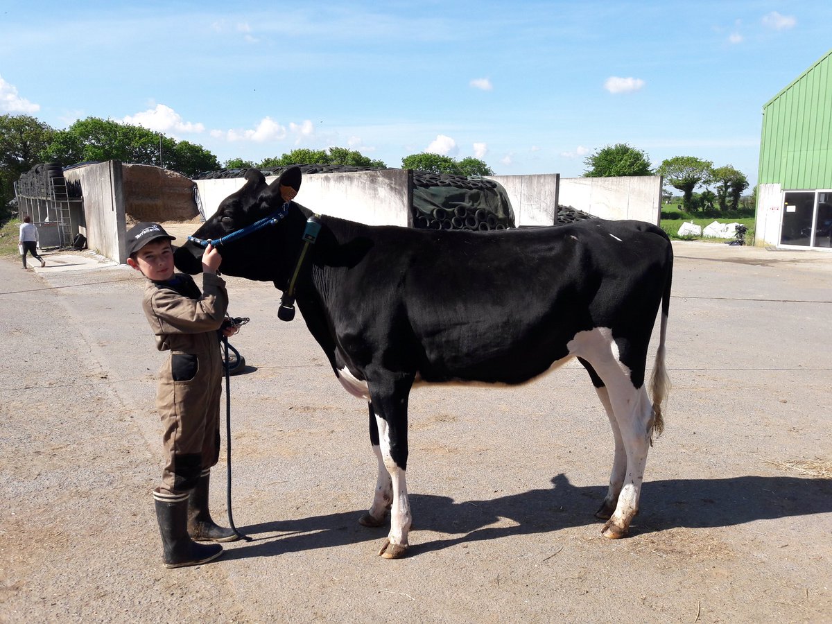 paullefur11's tweet photo. Je voulais dire que nos 🐄 vont se régaler! Je vous donne rendez vous samedi prochain pour le concours du #Forumdeploudaniel ! On sera present avec plusieurs de nos animaux pour le concours de beauté ! #convivialité
#CeuxQuiFontLeLait
#Primholsteinfrance https://t.co/nugaHz9Zgd