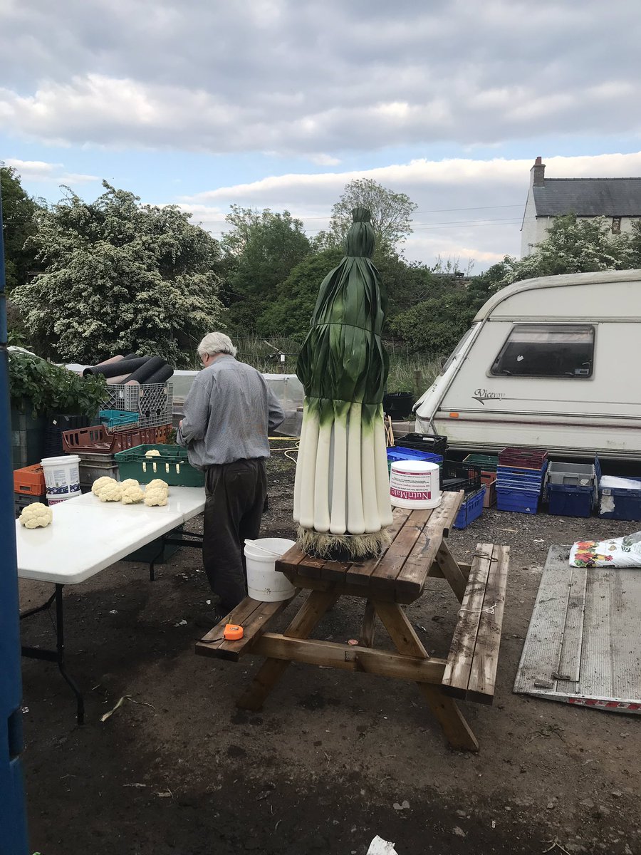 The. Leeks are done.
