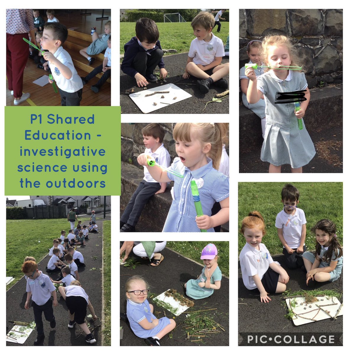 KillowenPS's tweet photo. @StJohnColeraine P1 Great learning and great friendships #InvestigativeLearning #OutdoorLearning #ExplainingLearning #LivingAndLearningTogether https://t.co/WfTwqBY6l5