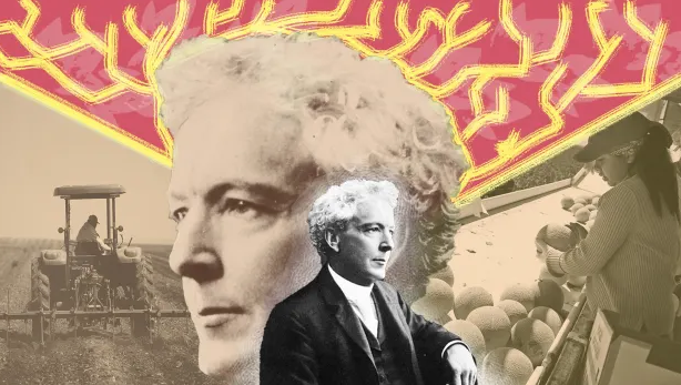 Pacific Standard tweet media