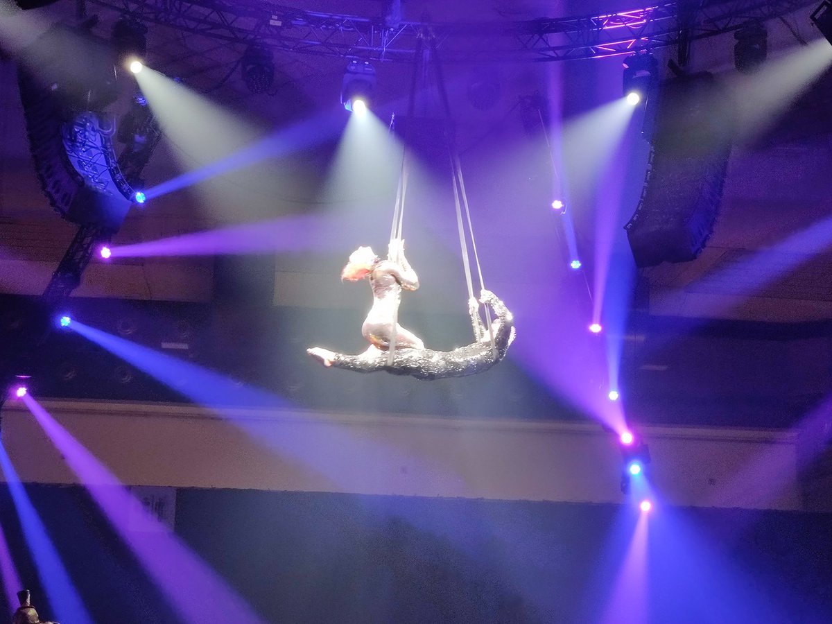 Pieterjanvl's tweet photo. Het thema Cirque Mistique is on point. #dnafe19 https://t.co/cT6Cr6IJ4M