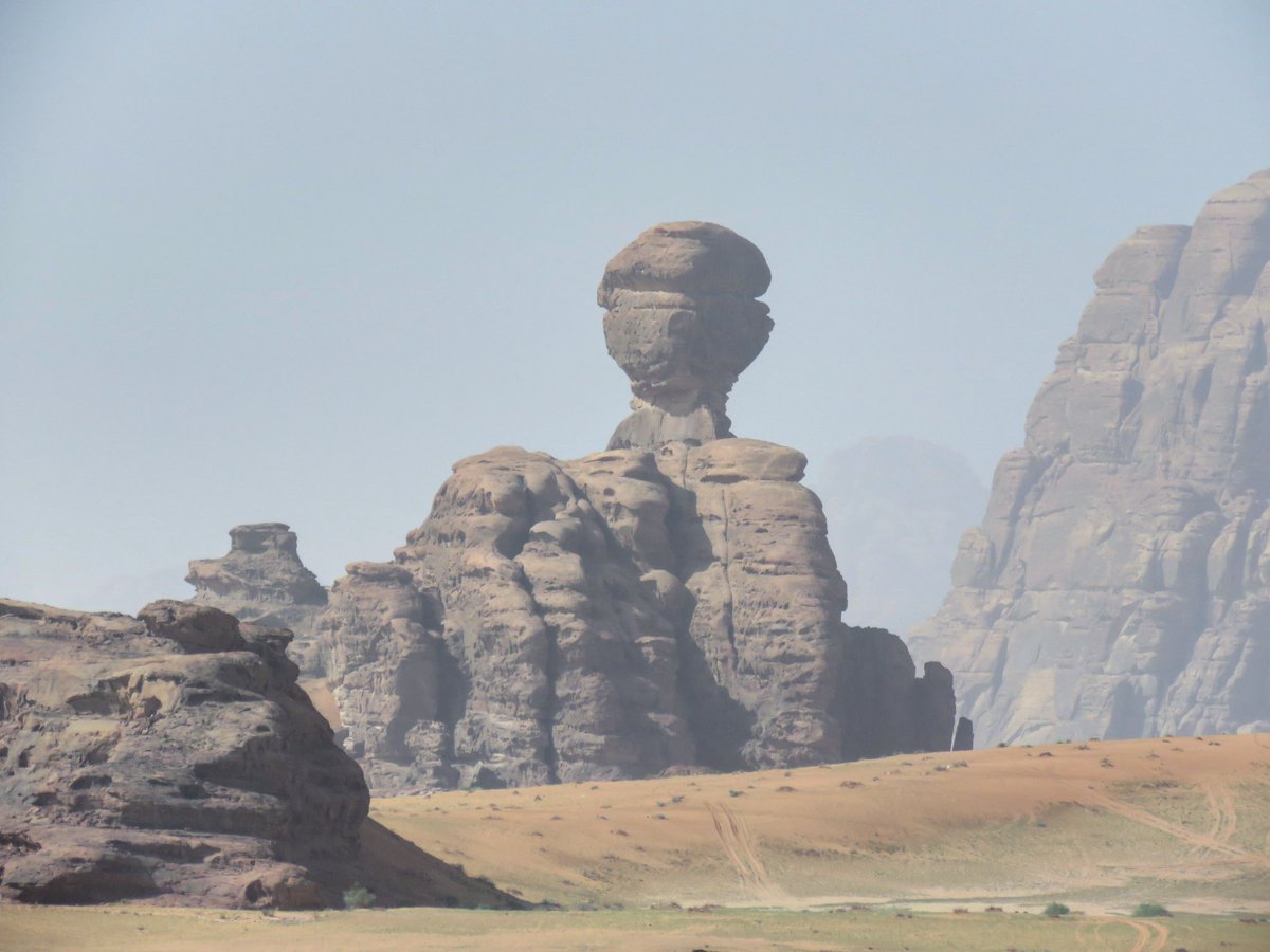 محمد بن عبدالله الشاوي tweet media