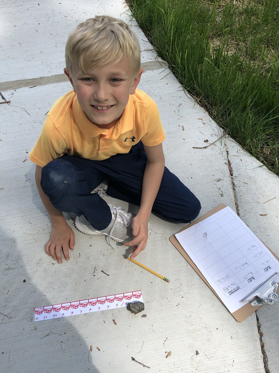 misscudmore's tweet photo. We took advantage of our outdoor learning space today to measure objects to the nearest 1/2 inch and find the difference in length between objects. https://t.co/laY9uj7yCU