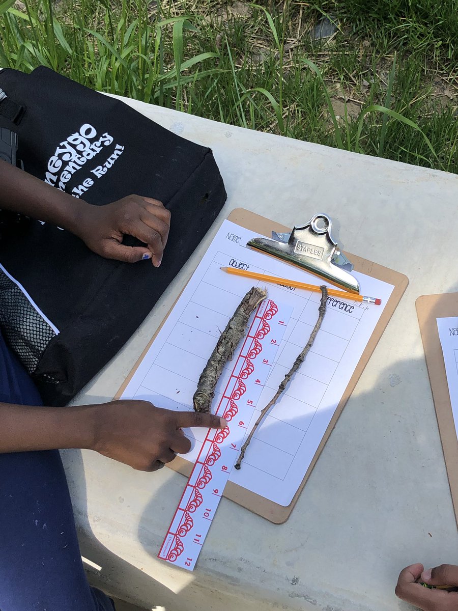 misscudmore's tweet photo. We took advantage of our outdoor learning space today to measure objects to the nearest 1/2 inch and find the difference in length between objects. https://t.co/laY9uj7yCU
