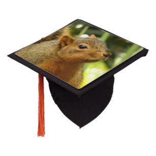congrats to our human friends that are graduating this week ♥️🥜 if u need any inspo for a last minute grad cap we gotchu...