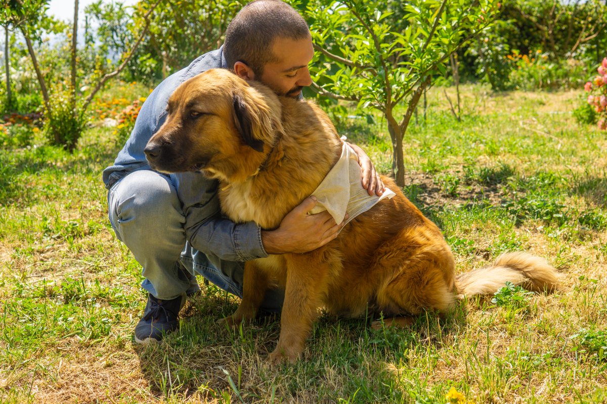 CleapetUK's tweet photo. Why is Cleapet unique? It contains nano silver particles which stop harmful bacteria to reproduce. Plus, nano particles don't allow no new bacteria in! #dogsoftwitter https://t.co/aiOBz8wHaM