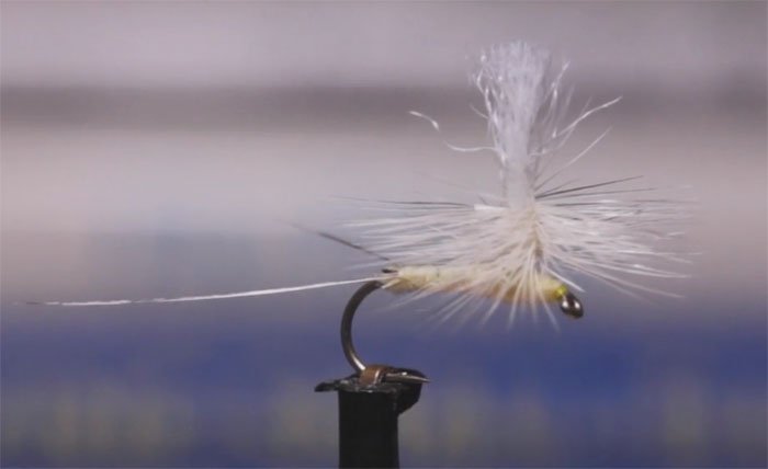 FRAnglers's tweet photo. The Light Cahill imitates a variety of light-colored mayflies, and Tim Flagler of Tightline Productions shows you a great, simple way to tie it. https://t.co/2WBcbUTBKZ https://t.co/8MHMEG76Da
