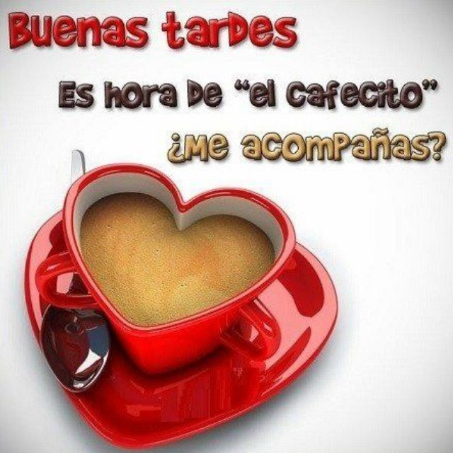 JesusVi28814323's tweet photo. Buenas tardes bendiciones https://t.co/GIYx2Su4l2