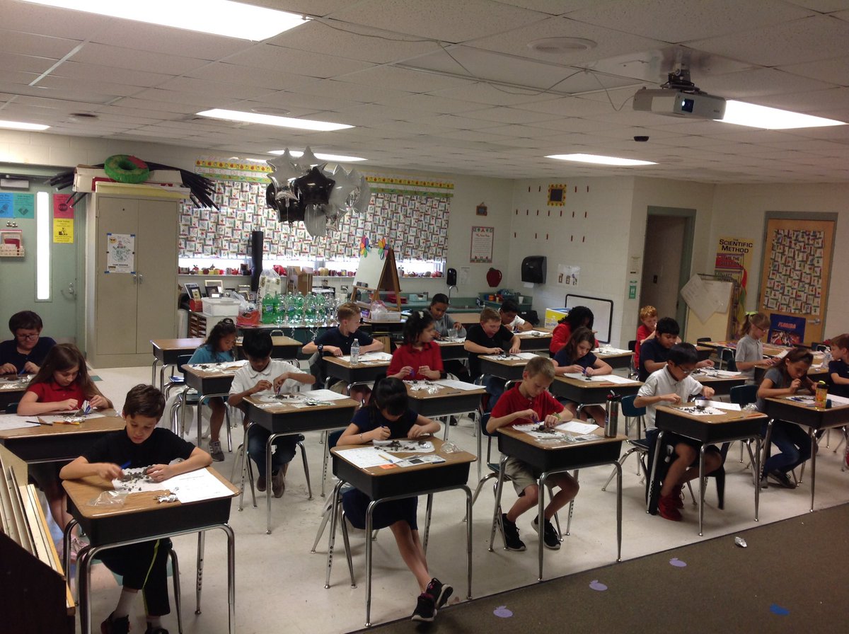 appleteacher3's tweet image. Dissecting owl pellets is so exciting. #FreedomVCS #Vcsscience