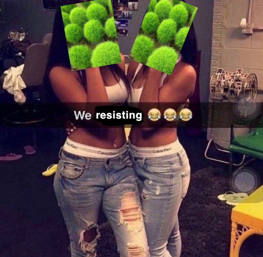 KennethTrinh5's tweet photo. Kochia plants after being treated with glyphosate #apstats #apstat https://t.co/N6CCjvWIUN