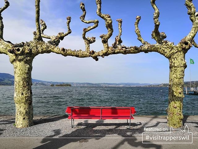 Your gate to serenity
.
Congrats!
.
★ Visit Rapperswil Feature ★
Picture by - @carl_1492
Selected by - <a href="/sergioshootz/">Sergio Navarro</a>
.
Show ❤👏 to the original post as well, thanks!
.
For a chance to get featured follow <a href="/visitrapperswil/">Visit Rapperswil</a> and tag #rapperswil or #visitr… bit.ly/2LOIsIs