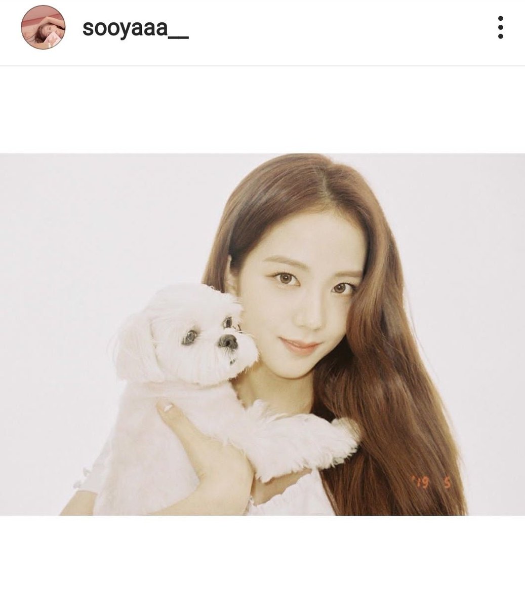 orenjeju's tweet photo. Better late than never #VisualDalgomDay
190517 sooyaaa__
#happydalgomday #190515 https://t.co/bC4ctyM9FD