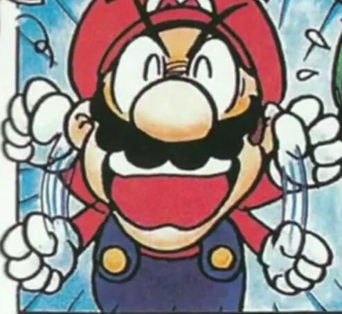 ⚡: "Do Bowser know that we can hear him?"

🔥: "I don't care about Bowser. What worries me a lot-a more is that Peach has retweeted his statement! THIS IS A CATASTROPHE!!!"

⚡: "...You'll never change, bro..."