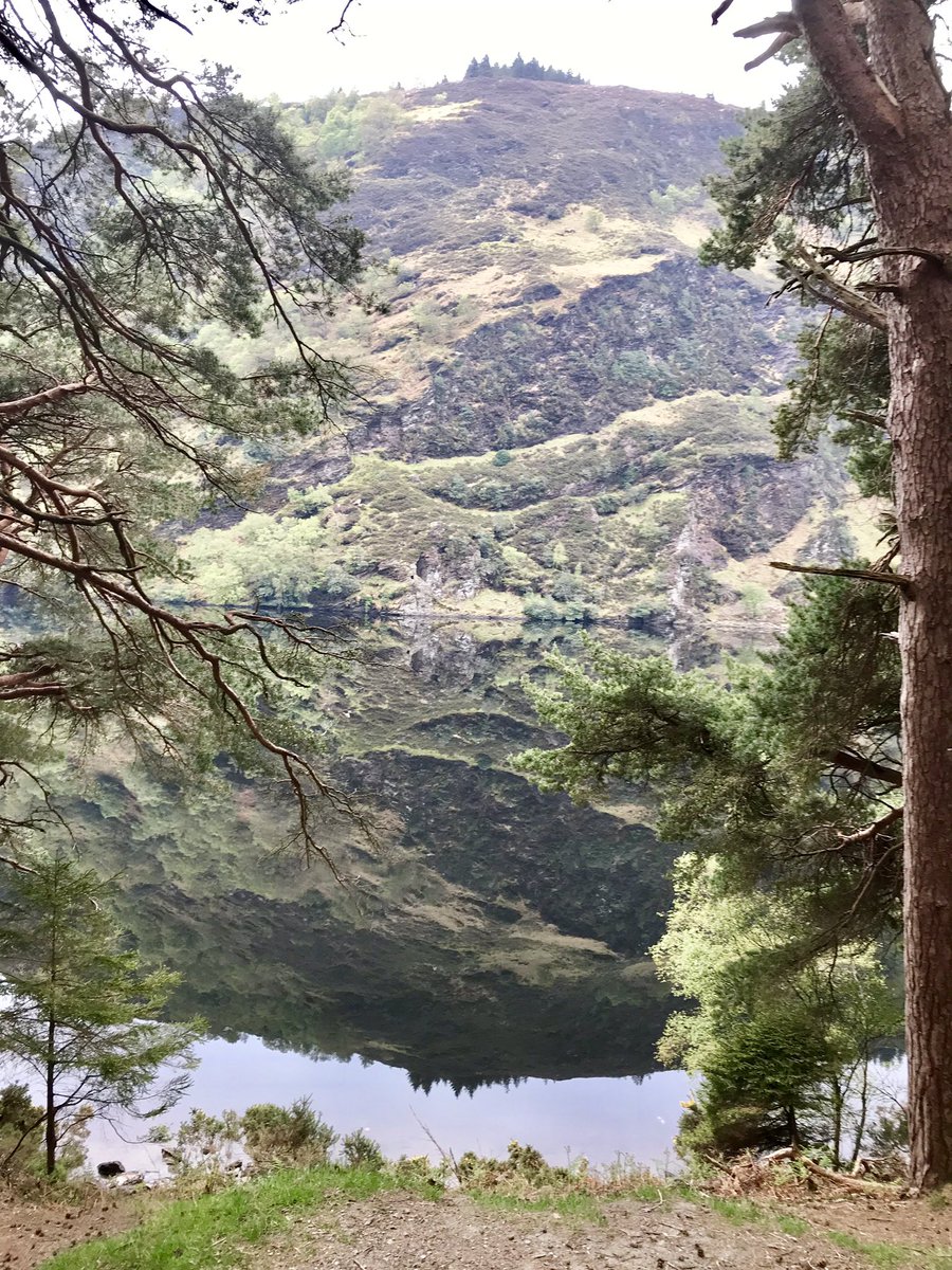 irelandtourguide tweet media