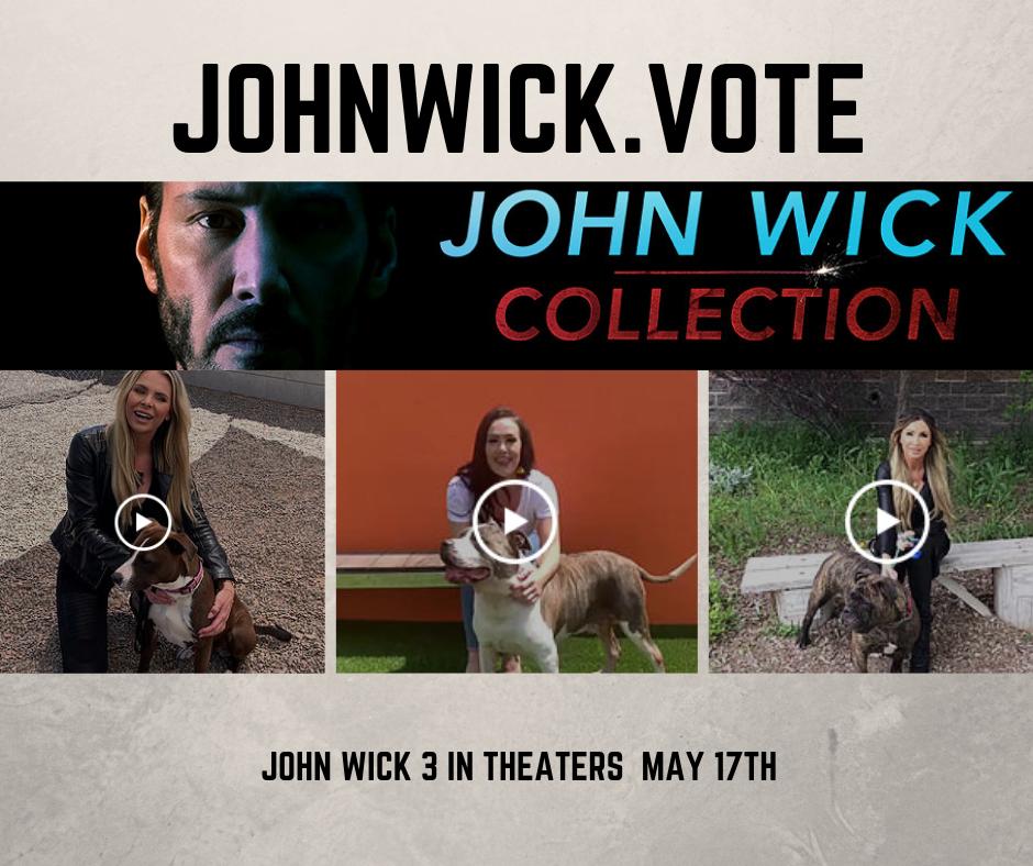 JohnwickV's tweet photo. Go to https://t.co/U8FFsijB4L and pick out your favorite rescue dog for John Wick!

@JohnWickMovie #JohnWick3 https://t.co/sul6prW129