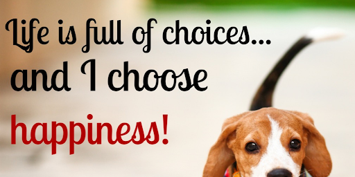 TheZigZiglar's tweet photo. Life is full of choices...and I choose happiness! https://t.co/JXUIQmnGxs
